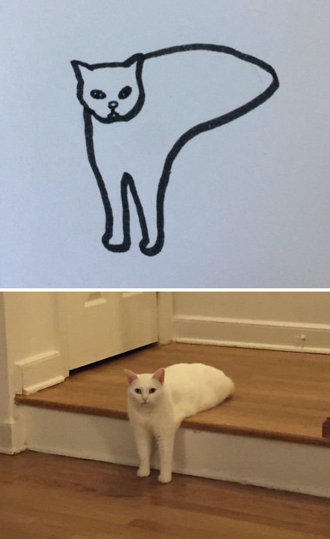 Lогда вам говорят что вы не умеете рисовать кошек но вы с этим не согласны