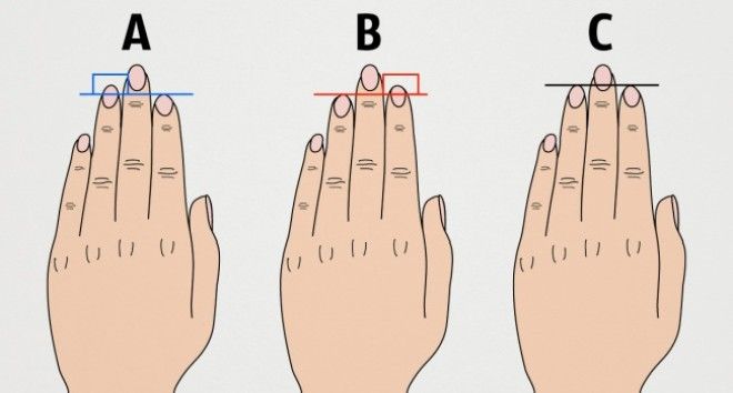 SВот что длина пальцев руки говорит о вашем характере