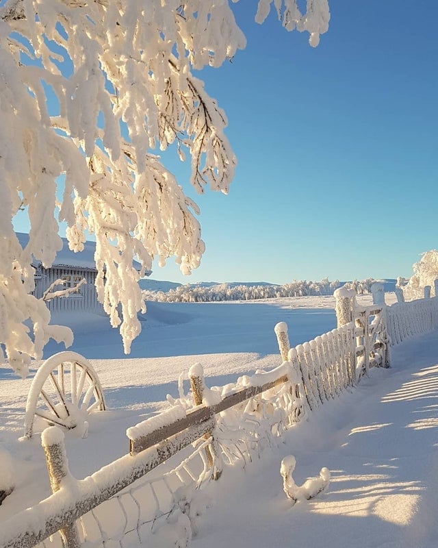 16 морозных снимков из разных стран, куда пробралась зима, и она везде оказалась по-своему хороша 50
