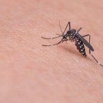 Причины, почему комары выберут именно вас