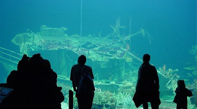 Лиссабонский океанариум Лиссабон Португалия Лиссабонский океанариум расположенный в столице Португалии является одним из крупнейших аквариумов в Европе 15 000 подводных созданий из 450 видов разделены по нескольким экосистемам