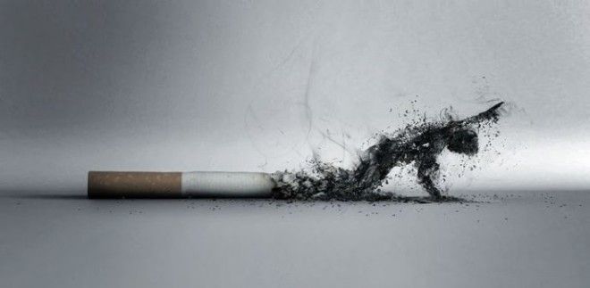 15 примеров мощной антитабачной рекламы После нее хочется бросить курить 