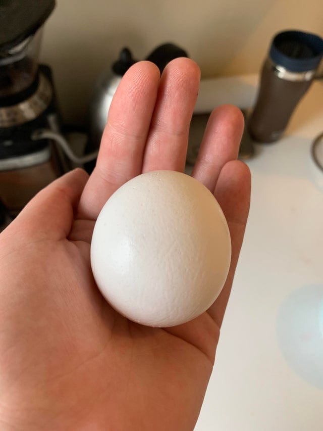 20 странных яиц необычных форм и цветов, которые способны удивить даже тех, кто их снёс 63
