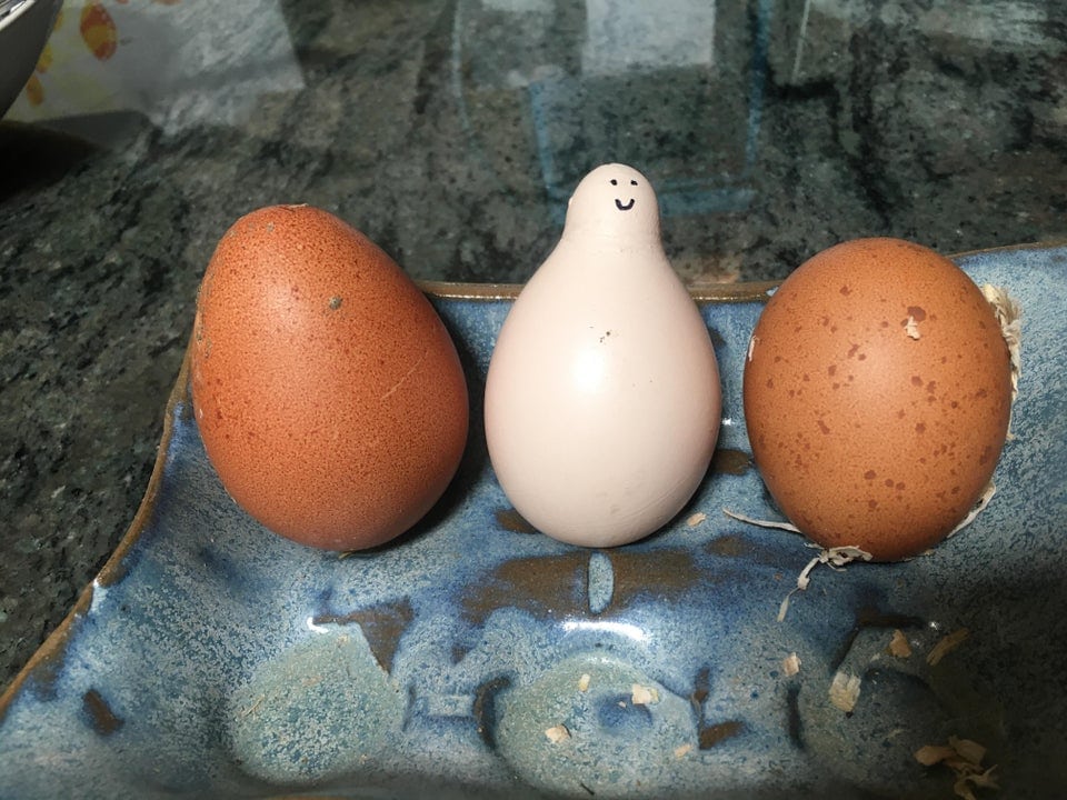 20 странных яиц необычных форм и цветов, которые способны удивить даже тех, кто их снёс 80
