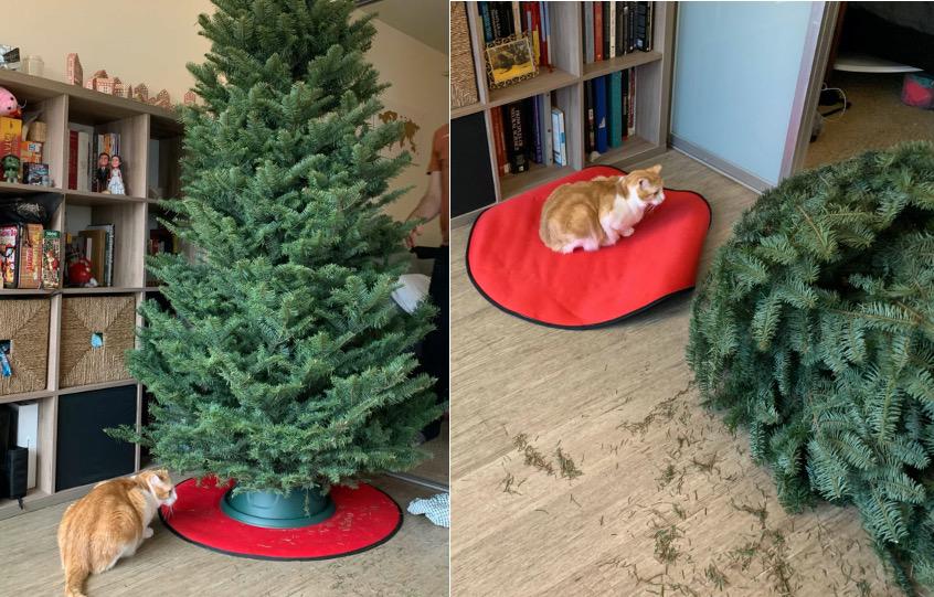 17 провальных ситуаций, когда люди украшали дом, чтобы поймать праздничное настроение, но коты были против 52