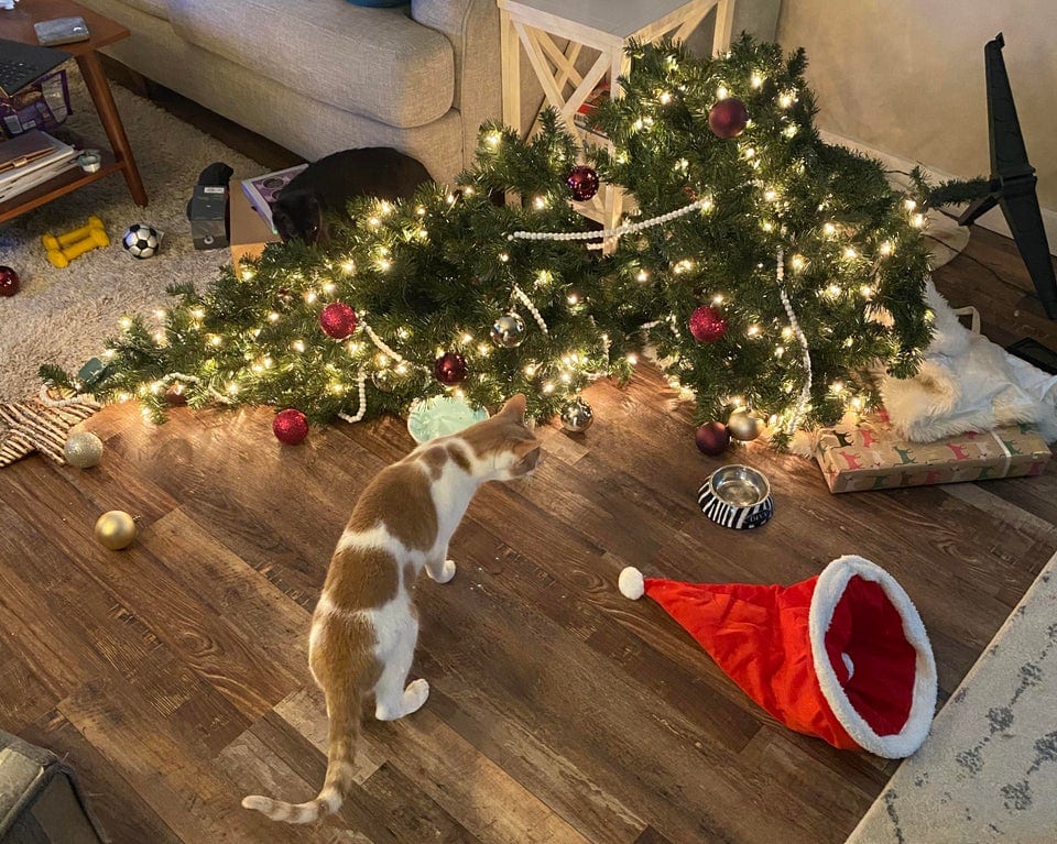 17 провальных ситуаций, когда люди украшали дом, чтобы поймать праздничное настроение, но коты были против 58