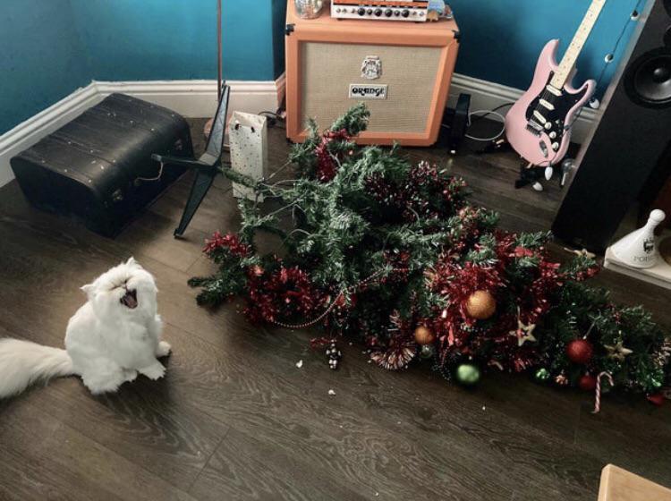 17 провальных ситуаций, когда люди украшали дом, чтобы поймать праздничное настроение, но коты были против 67
