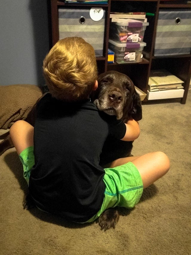 17 трогательных примеров дружбы детей и собак, которые растопят ваше сердце 57