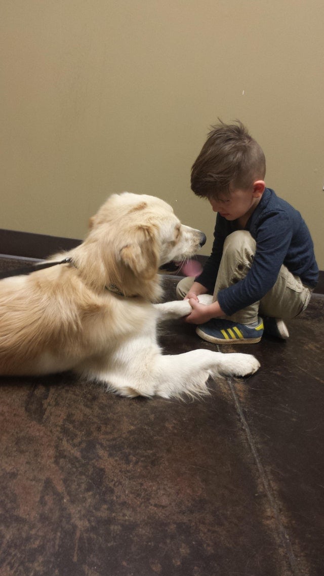 17 трогательных примеров дружбы детей и собак, которые растопят ваше сердце 63