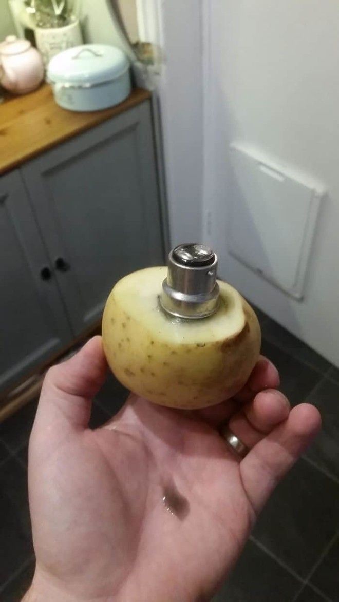 Props To My Wife For A Life Hack That Totally Worked. Removing A Broken Light Bulb With A Potato