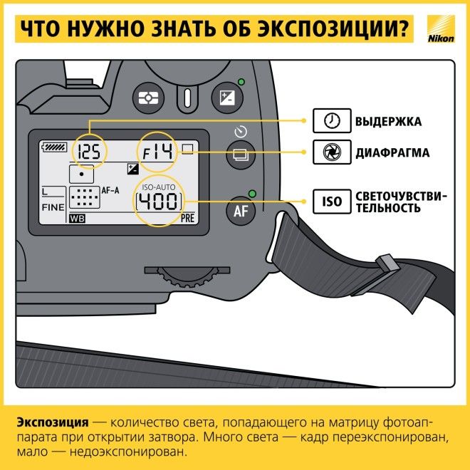 Как научиться фотографировать: пошаговая инструкция от Nikon 42