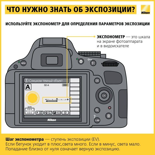 Как научиться фотографировать: пошаговая инструкция от Nikon 43