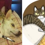 Художник из Индонезии перерисовывает мемные фотографии котов, превращая их в незаконно смешные рисунки