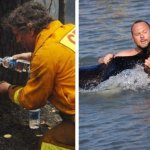 11+ трогательных фотографий спасения животных, которые попали в беду