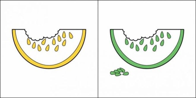 B24 забавнейшие иллюстрации доказывающие что люди делятся на два типа