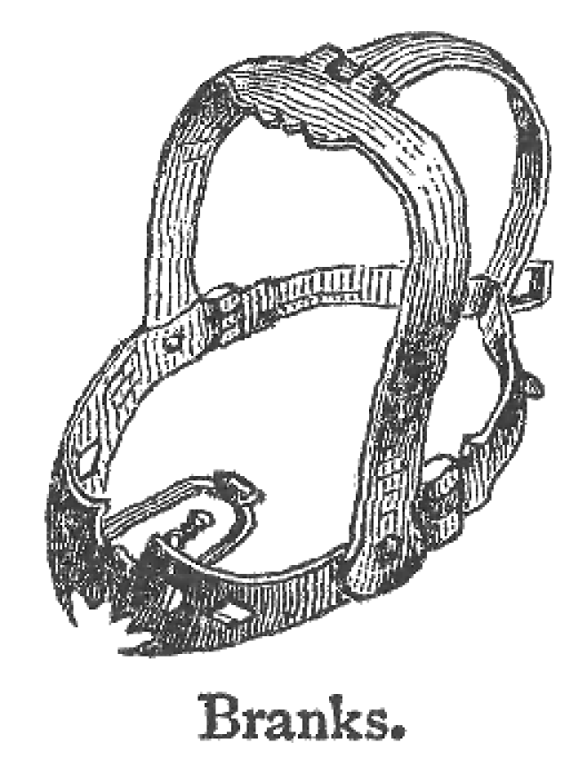 Железная маска, с помощью которой в Средневековье наказывали за сплетни 18