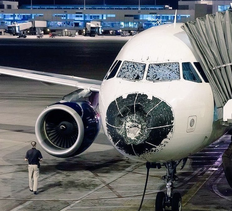 15 фотографий, сделанные после приземления самолетов, — ни один пассажир не захотел бы об этом знать 48