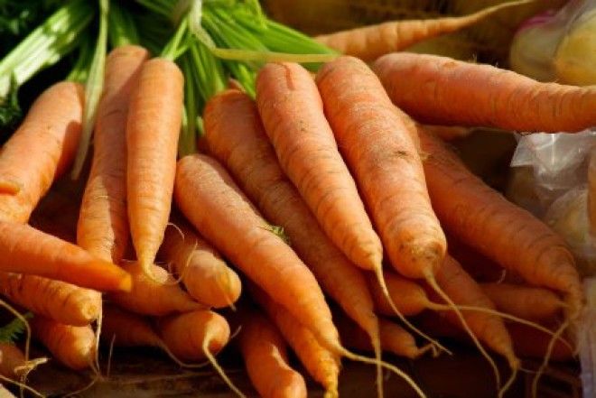 Современная морковь гмо овощи факты фрукты