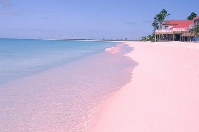 Розовый пляж Барбуды