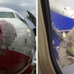 15 фотографий, сделанные после приземления самолетов, — ни один пассажир не захотел бы об этом знать