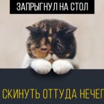 15 кошачьих поводов для грусти, о которых вы никогда не задумывались