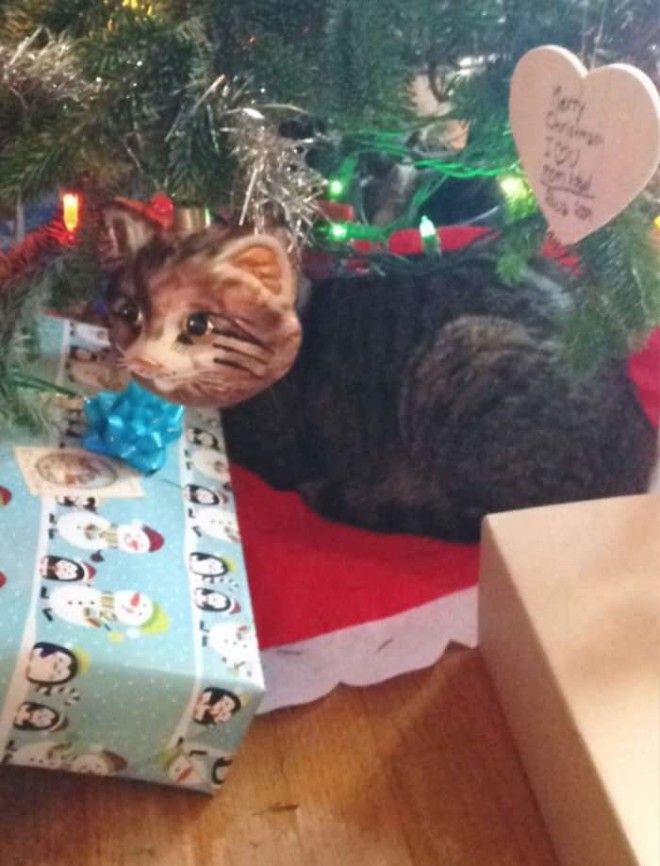My Cat Lined Up Perfectly Behind This Ornament Of A Cat