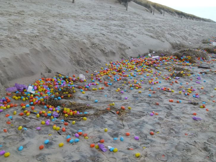 16 случаев, когда на пляже находили самые невероятные и непредсказуемые вещи, а не только ракушки и песок 55