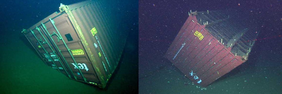 17 фотографий подводных объектов, которые способны любого напугать до чёртиков 53
