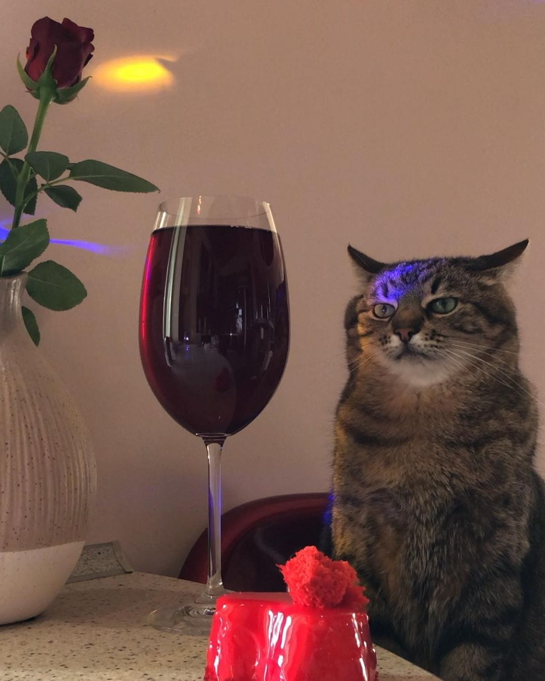 Кот Степан грустит под музыку и глядит на коктейль. И он уже стал символом всех тех, кто скучает на вечеринках 10