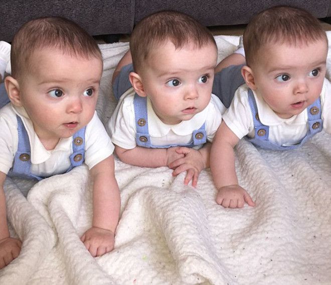 В британской семье родились абсолютно идентичные тройняшки 36