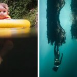18 фотографий, которые ярко демонстрируют, что морские пучины скрывают страшные тайны