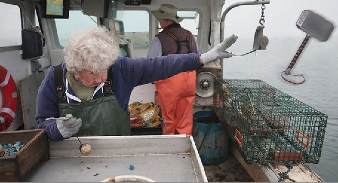 Бабуля так мощно выкинула омара за борт судна, что люди влюбились! И сделали её героиней битвы фотошоперов 36