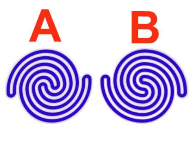 оптические иллюзии загадки закрученные загадки мозговые дразнилки дразнилки для мозга