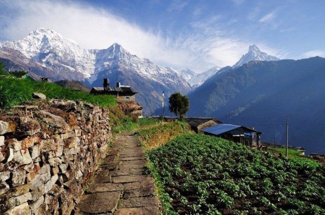 12 причин посетить Непал 40