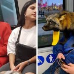 15 забавных фотографий, которые доказывают, что в метро можно встретить что угодно и кого угодно