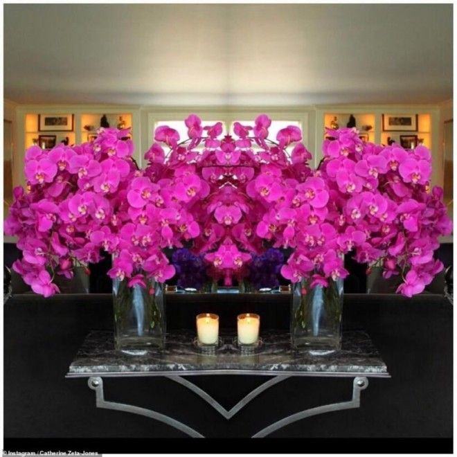 Огромные комнаты и море розовых орхидей: в гостях Кэтрин Зеты-Джонс 34