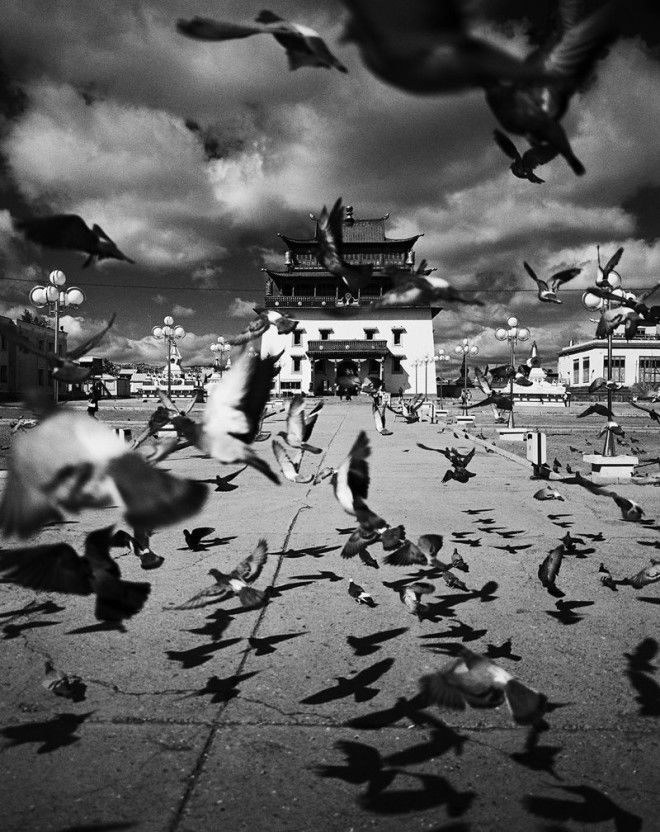 Невероятная Монголия: французский фотограф рассказал о своей любви к стране 56