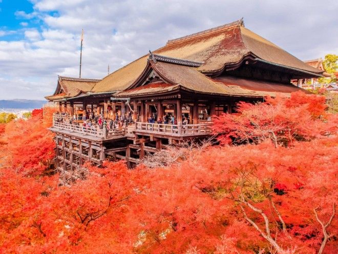 Почему Киото выбрали лучшим городом мира: 23 фотодоказательства 49