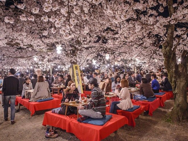 Почему Киото выбрали лучшим городом мира: 23 фотодоказательства 48