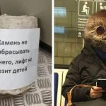 15 фотографий, которые как нельзя лучше показывают, что такое обычный день в России