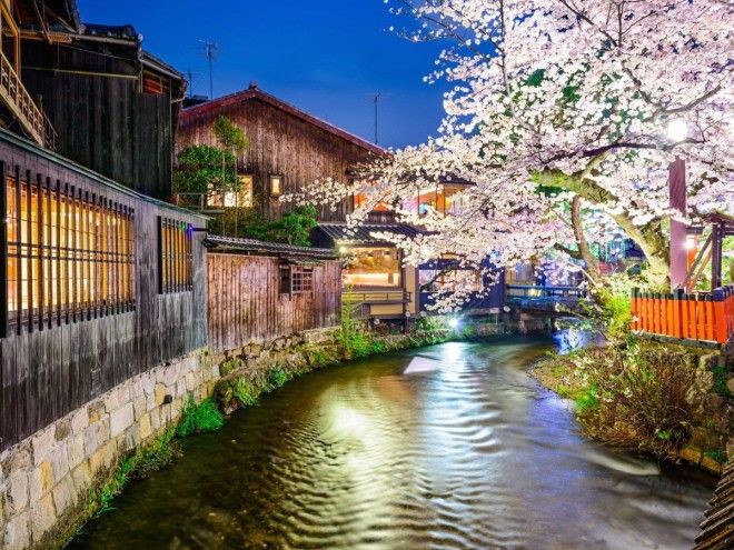 Почему Киото выбрали лучшим городом мира: 23 фотодоказательства 34