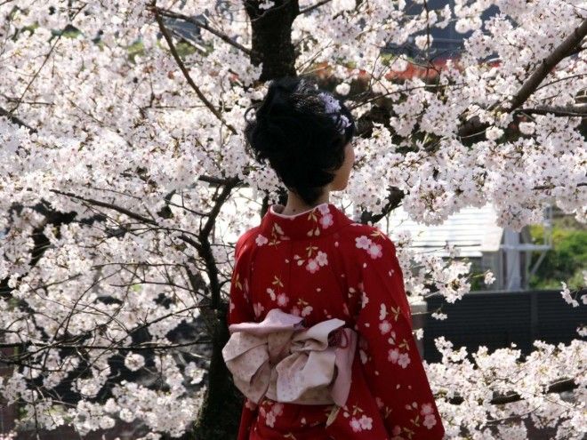 Почему Киото выбрали лучшим городом мира: 23 фотодоказательства 47