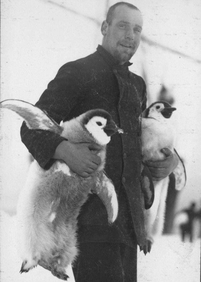 История выживания 28 человек среди льдов Антарктики в 1914-1916 годы 75