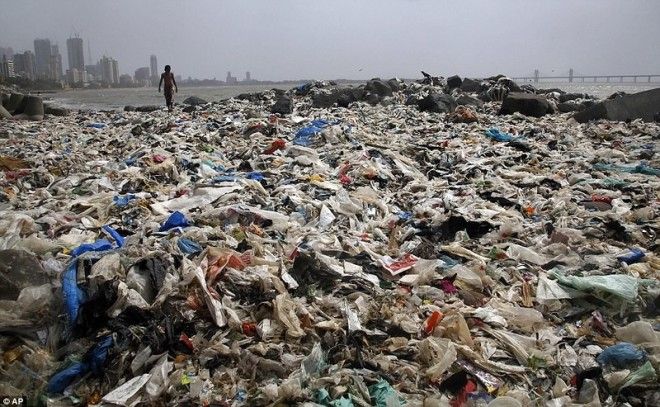 Чемпион Земли: как обычный человек очистил пляж от 5000 тонн мусора 37