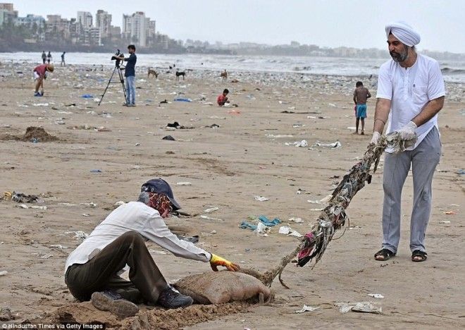 Чемпион Земли: как обычный человек очистил пляж от 5000 тонн мусора 43
