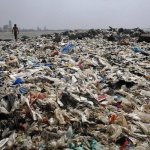 Чемпион Земли: как обычный человек очистил пляж от 5000 тонн мусора