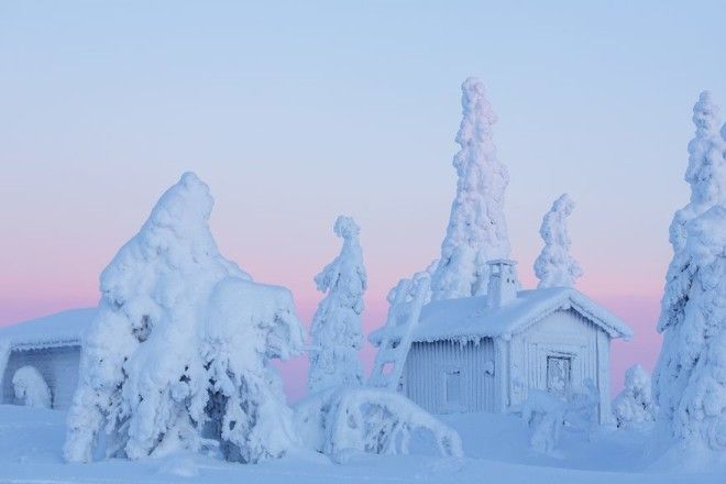 20 причин, почему Лапландия — волшебное место, чтобы справлять Новый год 48