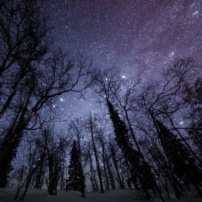 20 причин, почему Лапландия — волшебное место, чтобы справлять Новый год 41