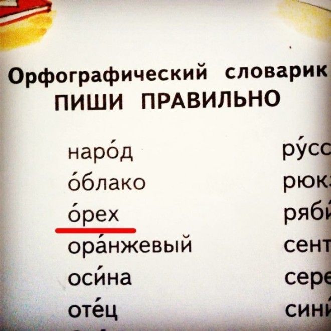 Маразмы из современных учебников, от которых волосы встают дыбом 31