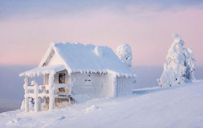 20 причин, почему Лапландия — волшебное место, чтобы справлять Новый год 45